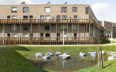 Intertwining urban ecology